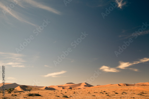 Fototapeta Naklejka Na Ścianę i Meble -  Desert landscape with sand dunes and big blue sky