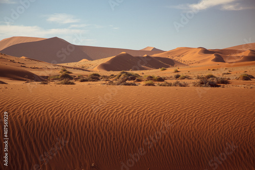 Textured desert landscape with sand dunes
