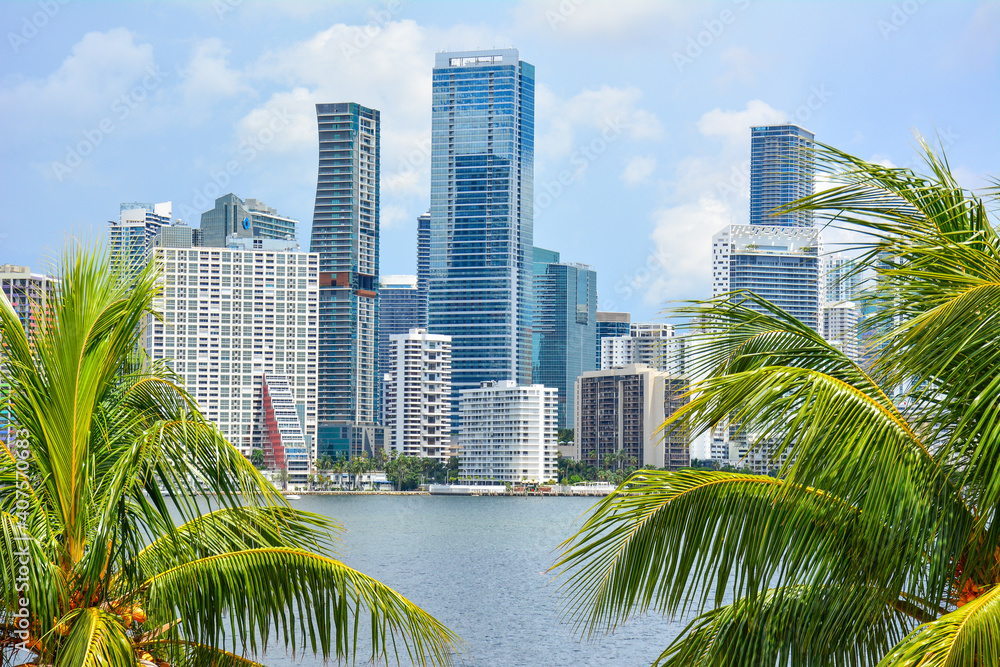 Fototapeta premium Downtown Miami skyline along waterfront seen with palm trees in foreground. South Florida, United States. 