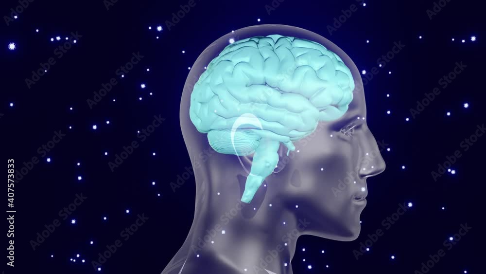Human brain and brain stem with mri scan in creativity, positive thoughts and good intentions, brain power concept., 4K looping animated background Human brain and brain stem with mri scan in creativity, positive thoughts and good intentions, brain power concept., 4K looping animated background