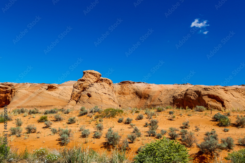 Fototapeta premium Desert Landscape in Arizona, United States
