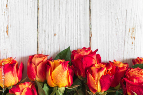 Red and yellow roses on white wooden background. Flat lay  top view  free copy space.