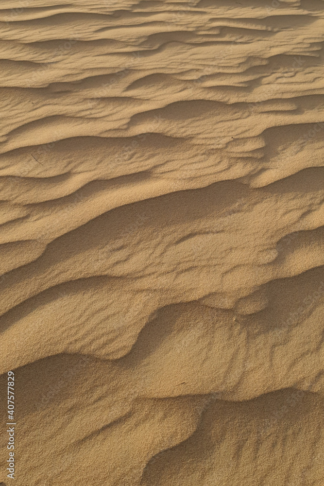 Fototapeta premium sand ripples in the desert