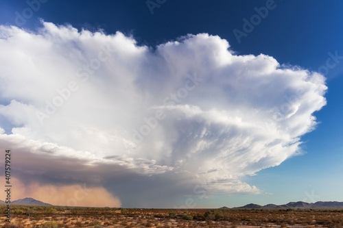 Thunderstorm cumulonimbus cloud and haboob dust storm in the Arizona desert