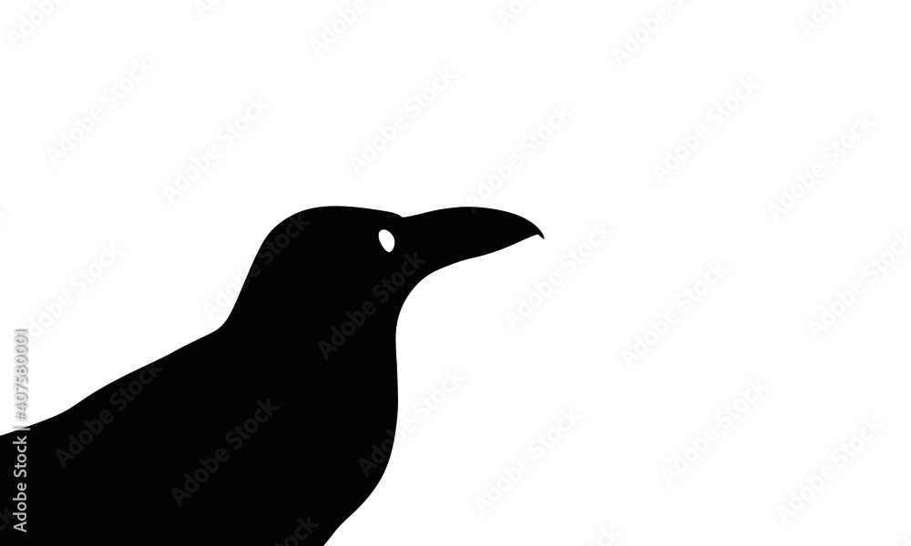 Obraz premium Black wild crow silhouette.