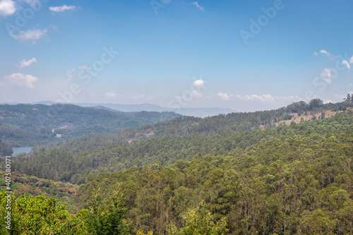 Colorful forest view with sky photo