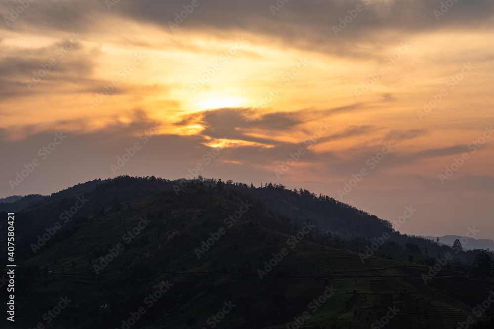 mountain dawn view with orange sky and tea garden