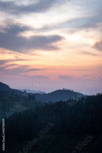 Fototapeta Naklejka Na Ścianę i Meble -  mountain dawn view with orange sky and tea garden