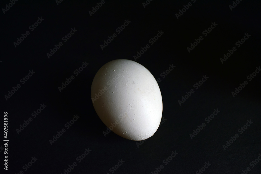 Side View of Closeup White Egg on On isolated Black Background Side View of Closeup White Egg on On isolated Black Background