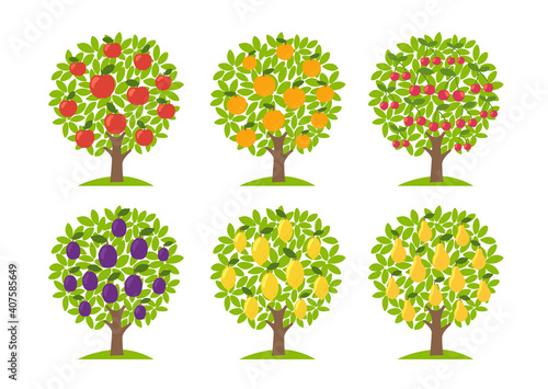 Set of different fruit trees. Lemon and orange apple cherry pear plum. Orchard garden harvest. Vector Illustration collection.