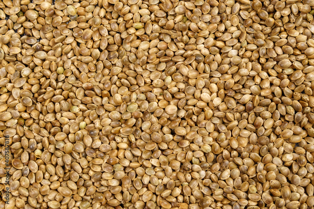 Cannabis seeds. Organic Hemp seed. texture. Hemp seeds background Cannabis seeds. Organic Hemp seed. texture. Hemp seeds background