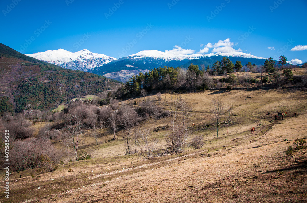 Mirador en Ribes de Freses de las montañas del Pirineo nevadas. Rutas de senderismo por el valle de Nuria