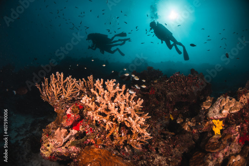 Scuba divers swimming among colorful reef ecosystems underwater  surrounded by schools of small tropical fish 