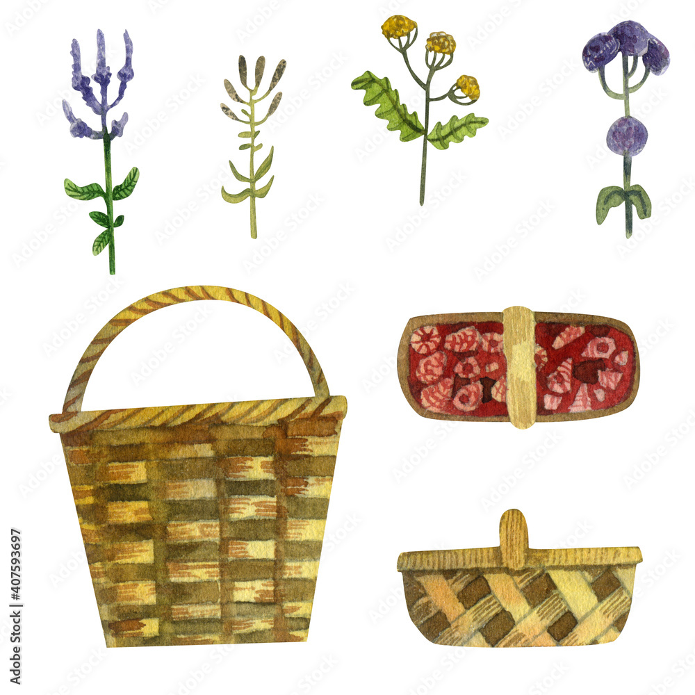 Watercolor set on a white background. Wicker baskets, a basket of raspberries, sprigs of herbs tansy, sage, oregano, wormwood. Watercolor elements for the design of postcards, fabrics, paper, scrapboo Watercolor set on a white background. Wicker baskets, a basket of raspberries, sprigs of herbs tansy, sage, oregano, wormwood. Watercolor elements for the design of postcards, fabrics, paper, scrapboo