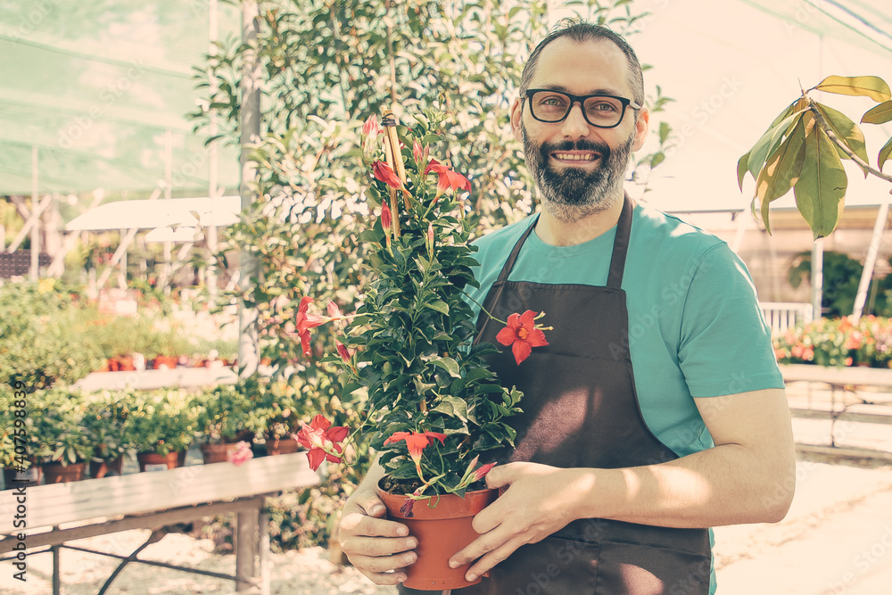 Happy male florist walking in greenhouse, holding pot with flowering plant, looking at camera and smiling. Medium shot, copy space. Gardening job or botany concept Happy male florist walking in greenhouse, holding pot with flowering plant, looking at camera and smiling. Medium shot, copy space. Gardening job or botany concept