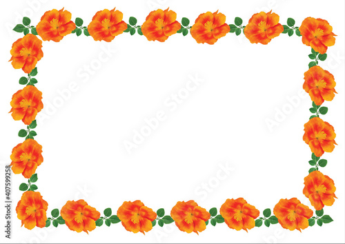 Floral romantical postcard from garden orange flowers for your text. Illustration with place for  yuor text  isolated.