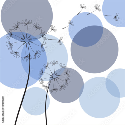 Dandelion with flying seeds