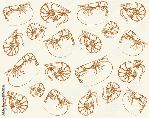 Big shrimp. Vector sketch drawing