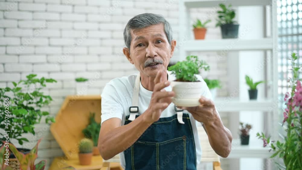 Senior man entrepreneur working with laptop presents houseplants during online live stream at home, selling online concept Senior man entrepreneur working with laptop presents houseplants during online live stream at home, selling online concept