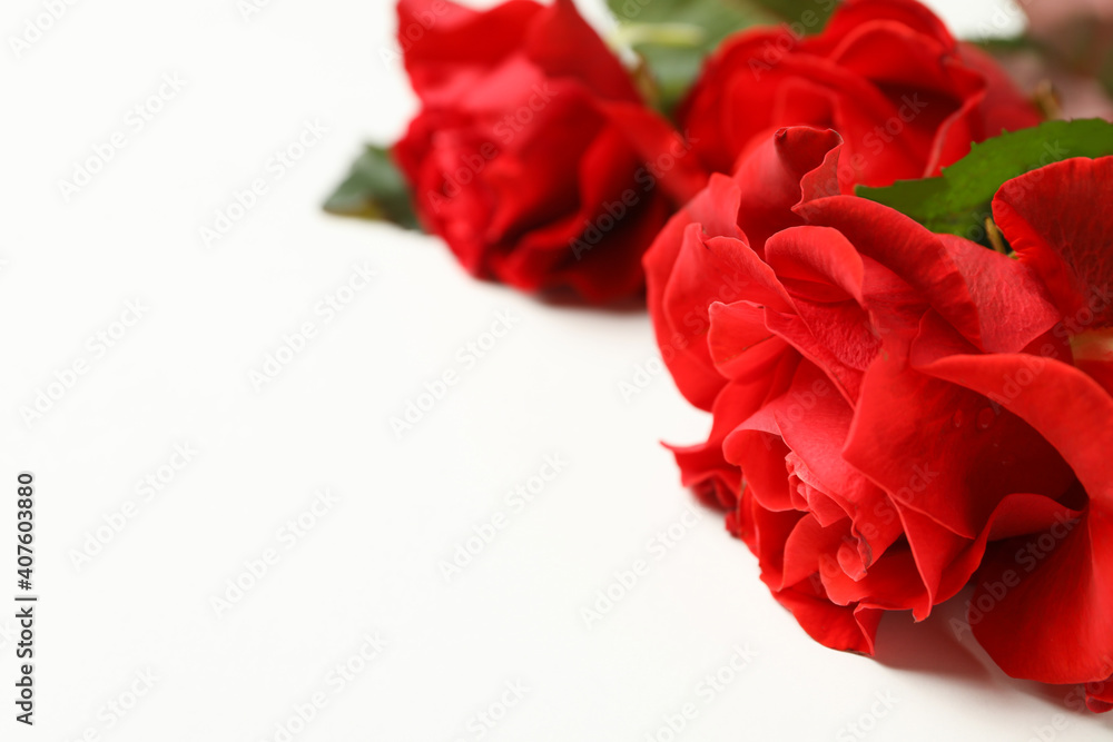 Naklejka premium Red roses on white background, space for text