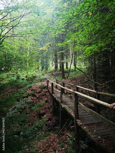 Wanderweg auf dem hohen Mei  ner