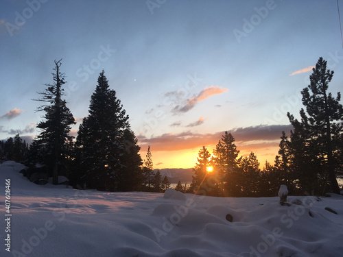 Snow covered trees and field at sunset