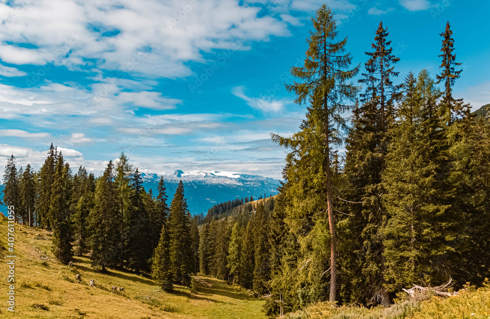 Beautiful alpine summer far view of the Dachstein summit at the famous Tauplitzalm, Salzkammergut, Steiermark, Austria