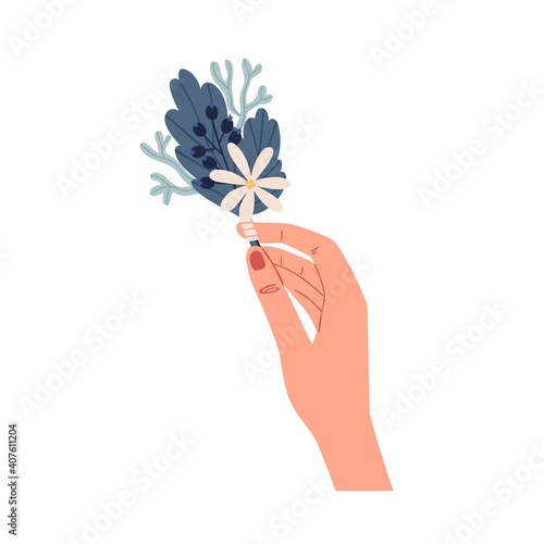 Female hand holding elegant small boutonniere of delicate wild flowers isolated on white background. Beautiful summer bunch of camomile and leaves. Colorful flat vector illustration