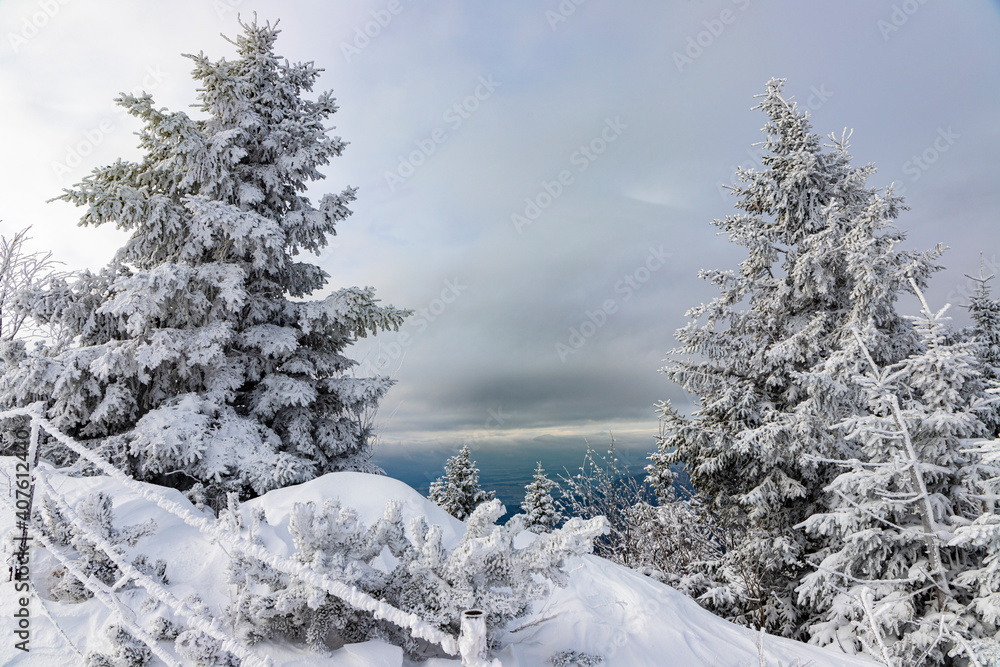 Obraz premium Velika planina