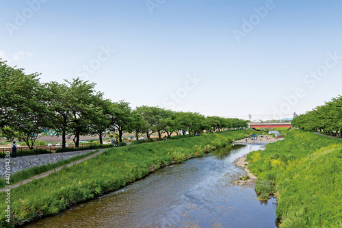 Wallpaper Mural 黒目川
 Torontodigital.ca