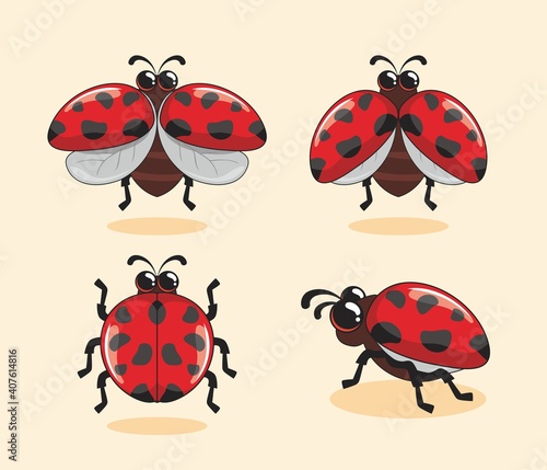 Red Ladybug Cartoon Coccinellidae Illustrations Set Collections