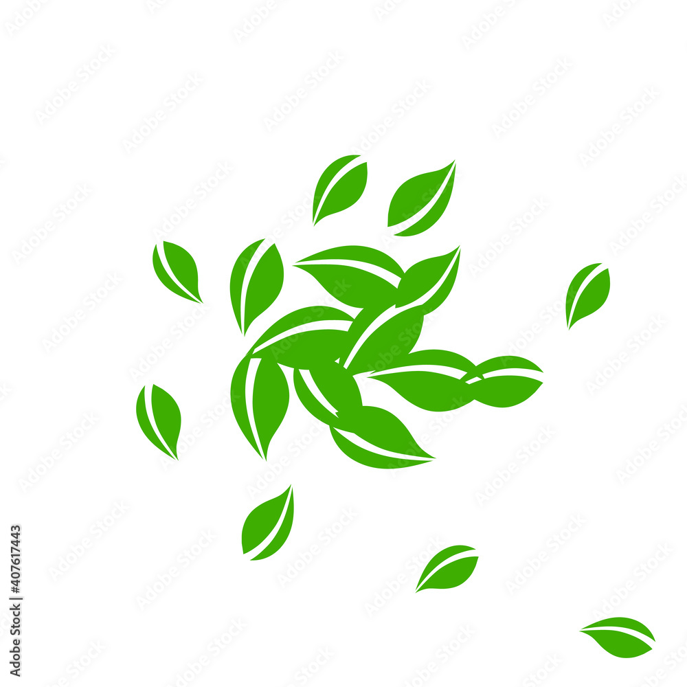 Falling green leaves. Fresh tea neat leaves flying