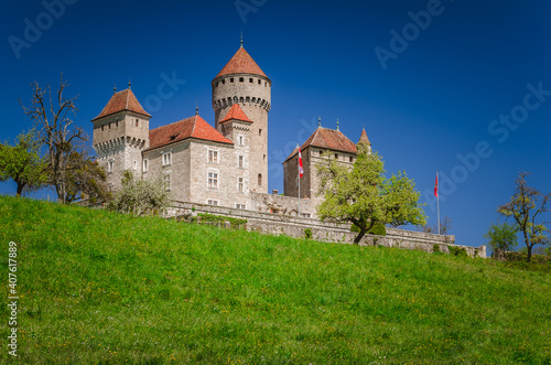 Le château de Montrottier, Lovagny