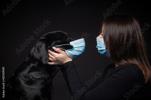 Portrait of a Labrador Retriever dog in a protective medical mask with a female owner.