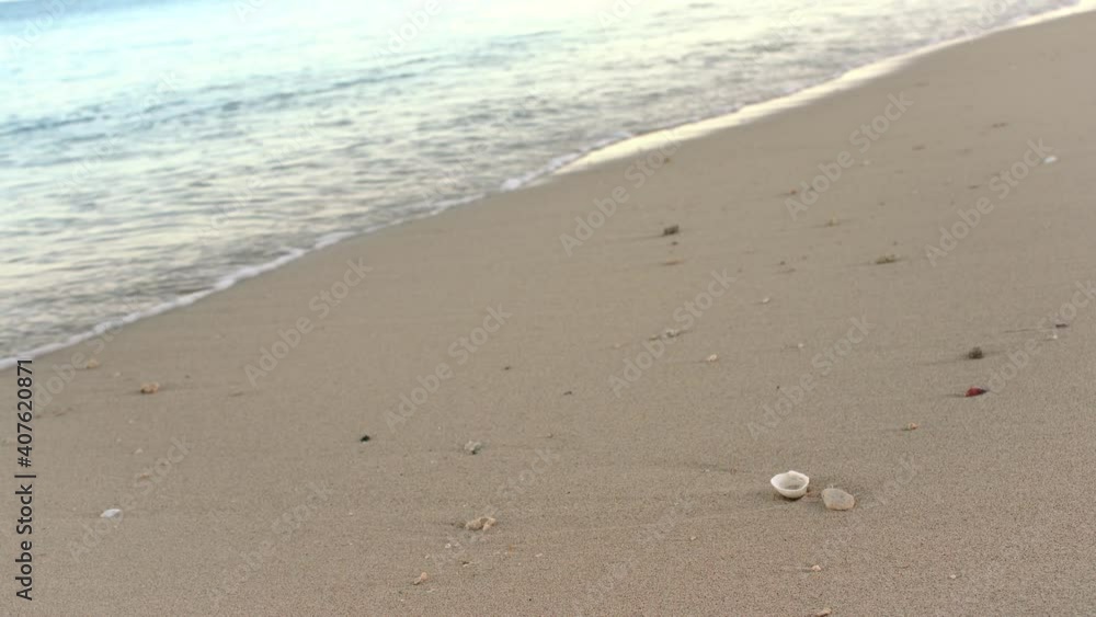Beach in morning, small sea waves washing sand and some seashells closeup detail Beach in morning, small sea waves washing sand and some seashells closeup detail