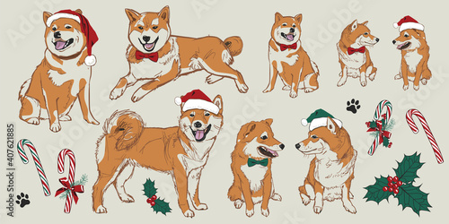 Vector beige shiba inu Christmas dogs elements with santa hats, holly and candy canes. Perfect for greeting card or pet shop visuals.