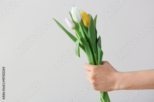 Female hand with tulip flowers on grey background