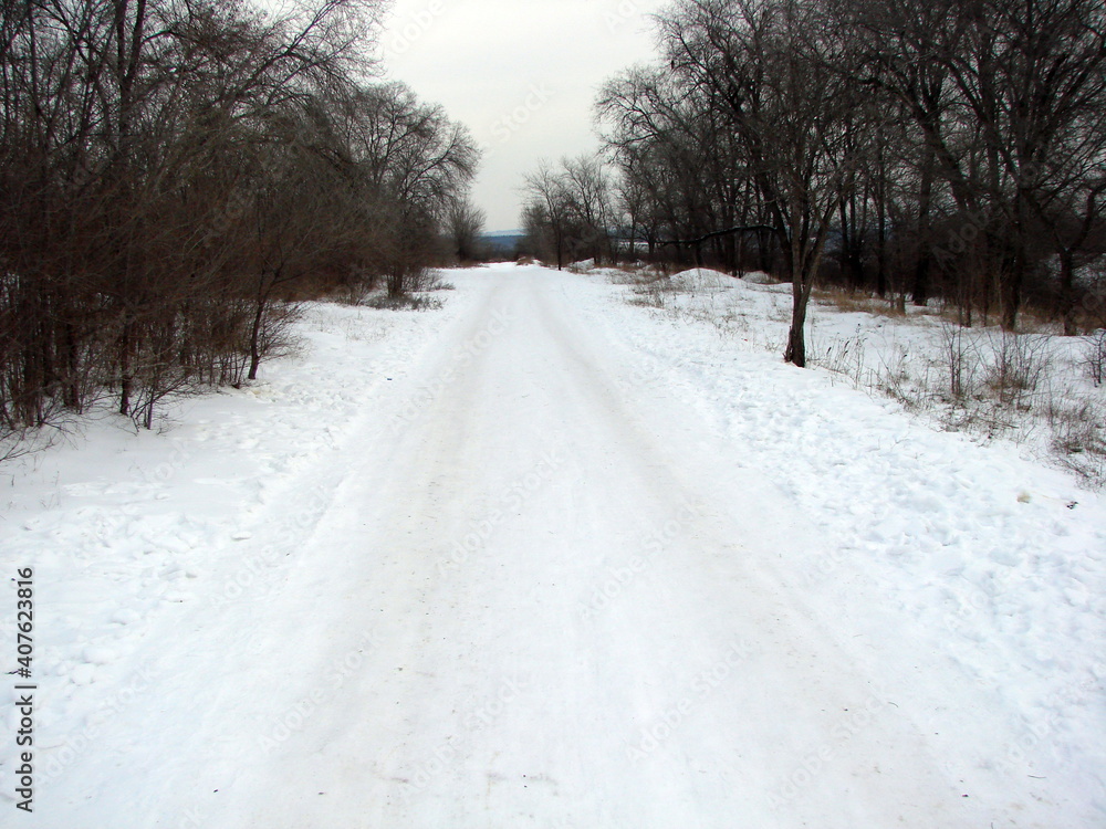 Panorama of the road to the Dnieper forest covered with the first belated snow. Panorama of the road to the Dnieper forest covered with the first belated snow.