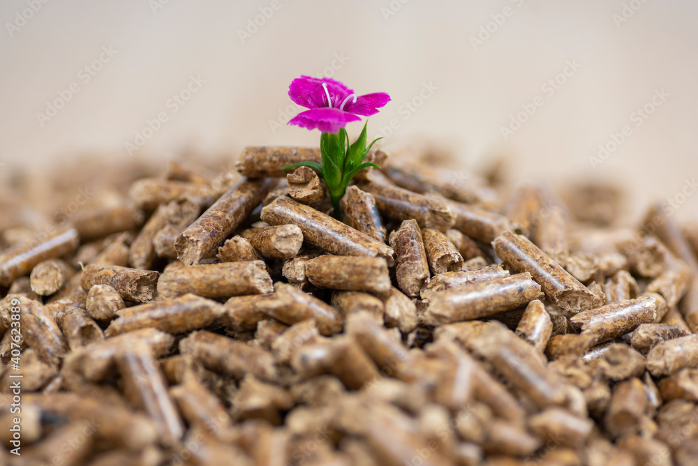 Fuel for pellet stove (biomass). Fuel for pellet stove (biomass).