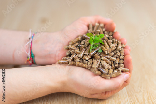 Fuel for pellet stove (biomass). © josfor