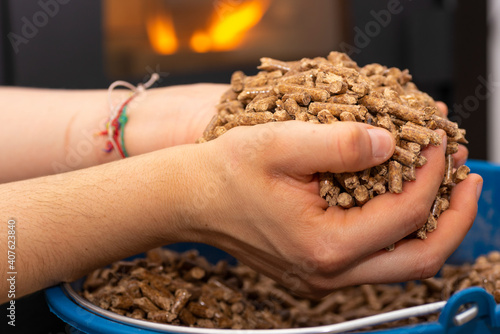 Fuel for pellet stove (biomass).