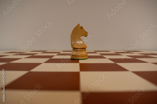 Chess piece in the middle of the chess board