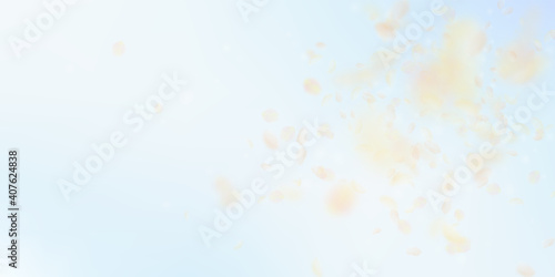 Yellow orange flower petals falling down. Popular romantic flowers explosion. Flying petal on blue sky wide background. Love, romance concept. Decent wedding invitation.
