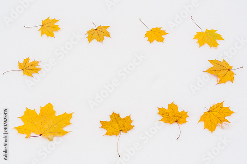 Dry yellow maple leaves on white snow