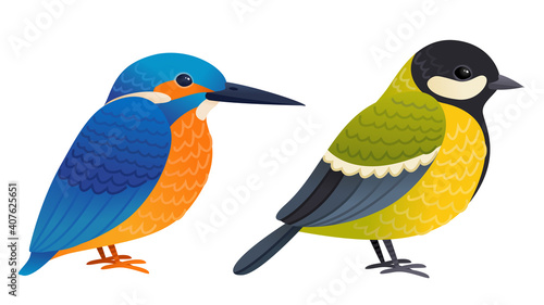 Cartoon birds set kingfisher and great tit bird isolated