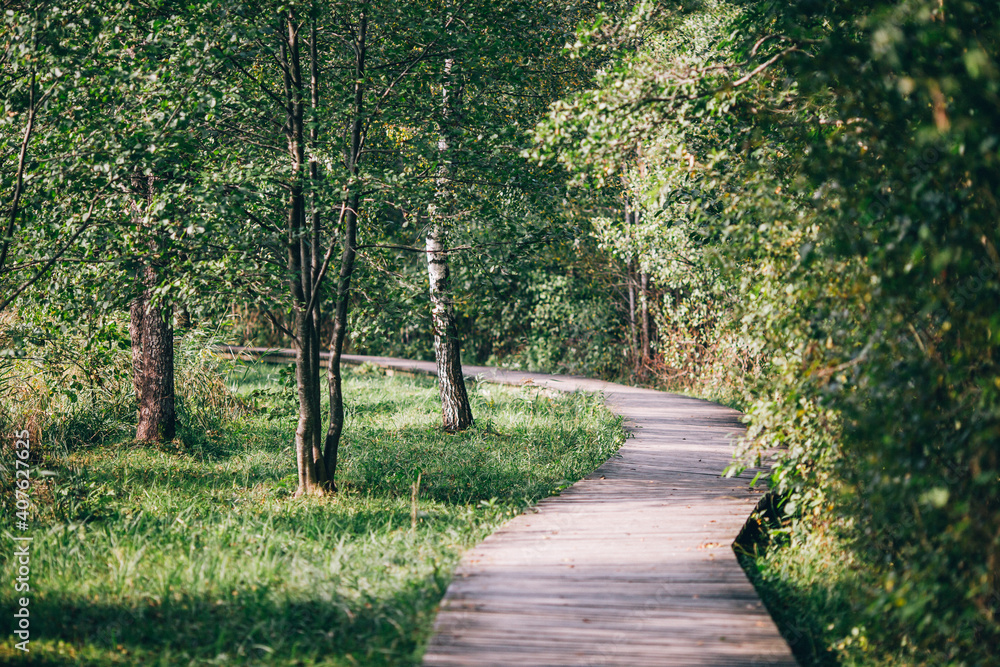 Wooden footbridge. Trees with green leaves on a sunny autumn day. Wooden footbridge. Trees with green leaves on a sunny autumn day.