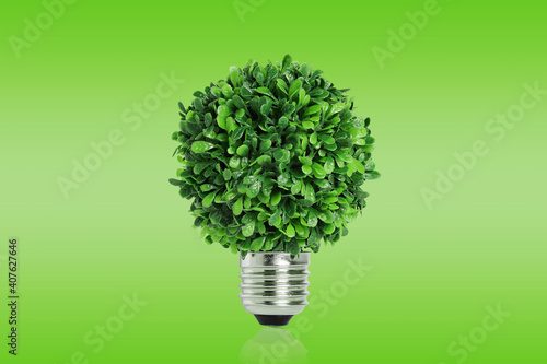 green idea and growth