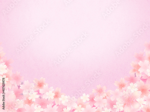 ピンク色の満開桜 ピンク背景