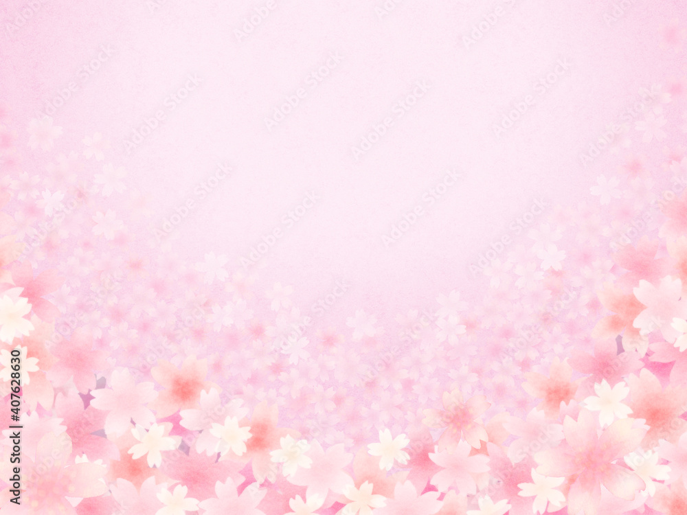 咲き誇る満開桜　ピンク背景