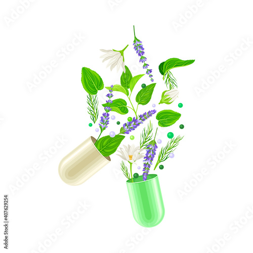 Capsule Halves with Floating Medical Herbs as Vitamins and Supplement Vector Illustration